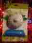 00821 Unbranded Garlic Chop Easy To Use Chopping