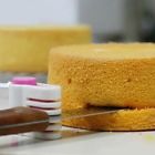 16646 Generic Cake Leveler Bread 795962116646
