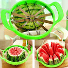 281850244279 New Fruit Watermelon Melon 858394471735