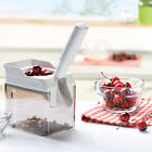 0477389 37200 Leifheit Cherry Pitter With Container 047738372009
