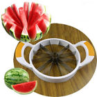 4894644297645 Unbranded Stainless Steel Watermelon