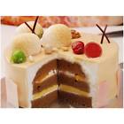 6905260378170 Unbranded Cake Pie Slicer Sheet Guide Cutter Server