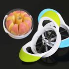 6909057720555 Unbranded Fruit Vegetable Cutter Stainless Steel Cutting Kitchen