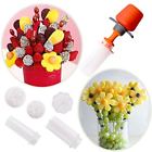 735317654973 Carethys New Creative Plastic Cake Cookie Vegetable Fruit