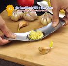 737029762243 Unbranded Garlic Stainless Steel