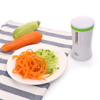 800000147794 Agm Spiral Vegetable Fruit