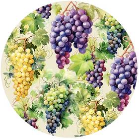 Jo-10 Andreas Silicone Jar Opener Grapes 6.25 Inch Non Slip Lid Gripper And Garlic Peeler