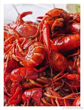Bestact 717206360059 Crawfish Peeler4pcs Shuckercrawfish Boil Party Suppliesefficient Por