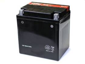 Pix30l-bs Bulbsandbatteries In-143t5 12v 30ah Sealed Battery - Each