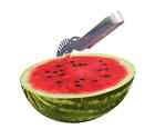 Chef Wunder Watermelon Slicer Server Stainless Steel Fruit Cutter Durable Perfect Party 646437680769