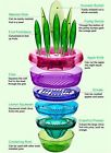Dbass Nex Easy Fruit Slicer Set Creative Kitchen 0735810323925