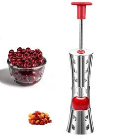 Fanlory 666791045431 Cherry Pitter Tool - 304 Stainless Steel Pitting Portable Cherries Core