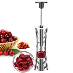 Fanlory 666791049989 Cherry Pitter Tool - 304 Stainless Steel Pitting Portable Cherries Corer