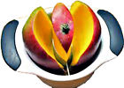 - Fruit Gadgets Splitter Corer Chopper Cutter Pitter Stoner Slicer Mango