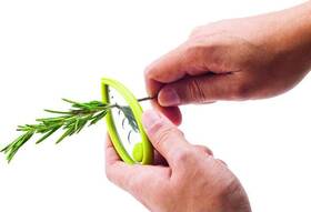 32200 Joie Leaf Herb Stripper Stainless Steel And Bpa-free Plastic 4-inches X