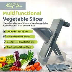 Nextg Ideaz 198715539325 4-in-1 Mandoline Vegetable Slicer For Kitchen - Gray/blue