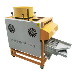 Preasion 022768-2222 Automatic Garlic Separation And Screening Integrated Machine 300-400kg/h 110v
