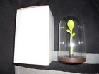 Ql10205-10 Qualy Authentic Sprout Jar Coffee Tea Storage Container With Spoon