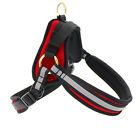 Red-harness-lg Activpaws No Pull Dog Harness Premium Adjustable For 707129200945