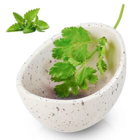Rimigood 602837484420 2025 New Handmade Ceramic Herb Stripper Bowl -herb Stripping Bo