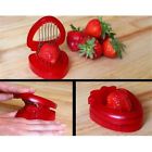 Strw-002-01 Slicer Products Living Health Strawberry