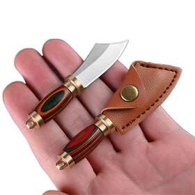 Howorld878 Szhoworld New Ultra Small Fixed Blade Knife 1.6 Inch 5cr Stainless Steel With Br