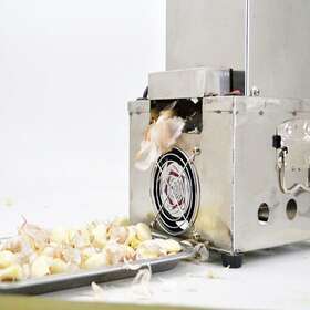 022179 Techtongda Used 110v Garlic Peeling Machine Electric Peeler Stainless Steel