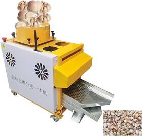 02top2768 Techtongda 110v Garlic Clove Splitting Separator And Screening Integrated Machine660-880lb/
