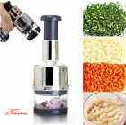 Th05tbzk105190002 Unbranded Kitchen Pressing Vegetable Onion Garlic Food Slicer 743828039059
