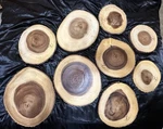 Lipper International Acacia Bark Serving Boards. 9PC Set. Fixed Price $60.00.