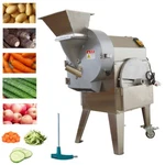 110V Stainless Steel Single Head Fruit Vegetable Slicing/shredding/dicing Cutter. Fixed Price $1523.52.