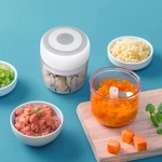 Electric Garlic Chopper Mini, 11OZ Small Mincer With 6 Stainless Blades. Fixed Price $10.99.