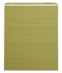 10 X 9.5 Inch Plastic Green Makisu/sushi Rolling Mat Fast Ship. Fixed Price $45.99.