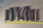 Lot 7 X Red Deer Antler Cuts For Crafting Knife Handles Decoration Art Nr. 8. Fixed Price $99.99.