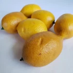 Faux Fruit - Set Of 6 Lemons Great Lifelike Display For Kitchen, Dining, & Bar. Fixed Price $12.00.