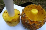 Pineapple Core Slicing Cutter Peeler Fruit Knife Easy Spiral Cutting Tool. Fixed Price $5.09.