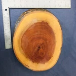 Wood Charcuterie Cheese Board Live Edge Round Oval Serving Block Party 10.5". Fixed Price $24.56.