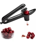 Cherry Pitter Ordekcity Stainless Steel Cherries Corer Tool With Hand. Fixed Price $9.00.