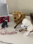American Girl Julie Dog Walking Set Terrier Poodle Chihuahua Retired With Box. Fixed Price $59.99.