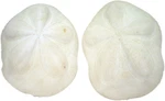Us Shell, 2 Piece, Seabiscuit Shells. Fixed Price $14.28.