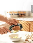 Stainless Steel Garlic Press Rocker Set W/ Peeler & Cleaning Brush Kitchen Tool. Fixed Price $9.08.