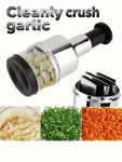 Stainless Steel Garlic Press & Mini Food Chopper Durable Kitchen Tool. Fixed Price $12.99.