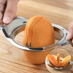 Fruit Corer Mango Slicer Peeler Steel Knife Cutting Tool. Fixed Price $14.65.