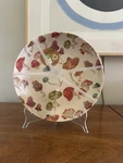 New C&c California Set Of 2 Melamine Mushrooms Funghi Pasta Salad Plates Bowls. Fixed Price $24.95.