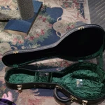 Vintage Mandoline Rogue Sunburt Electric With Case Black & Keys To. Fixed Price $200.00.