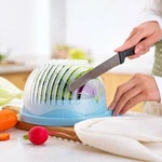 Salad Cutter Bowl, 60 Seconds Quickly Maker, Multi-functional Kitchen To... Fixed Price $14.99.
