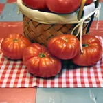 Tomato Slicer Chefs Choice Red 1000 Seeds. Fixed Price $12.79.