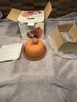 Progressive GGR-425 Ceramic Clay Terra Cotta Garlic Roaster W/ Lid, Orange. Fixed Price $9.99.