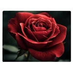 Red Rose Flower Love Kitchen Glass Cutting Board Decorative Valentine's Mothe.... Fixed Price $29.99.