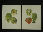 Anne Dowden Peppers & Artichoke Vegetable 2 Print Set Cooking Chef Kitchen. Fixed Price $34.95.